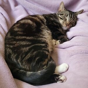 Meet your Posher, Ian